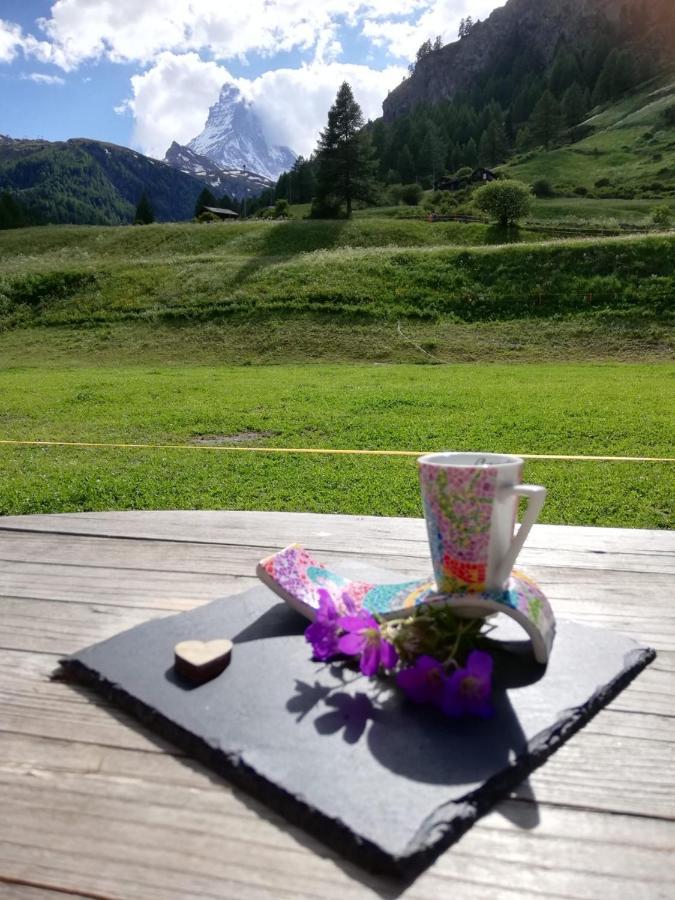 Ferienwohnung Emelie Zermatt 4**** Exterior foto